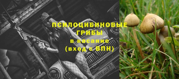 молекула духа Баксан