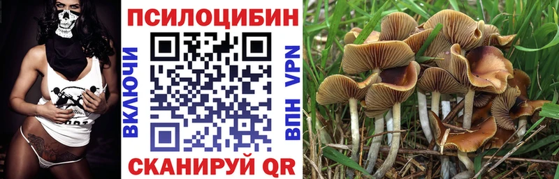 сайты даркнета как зайти  Борисоглебск  Псилоцибиновые грибы мухоморы 